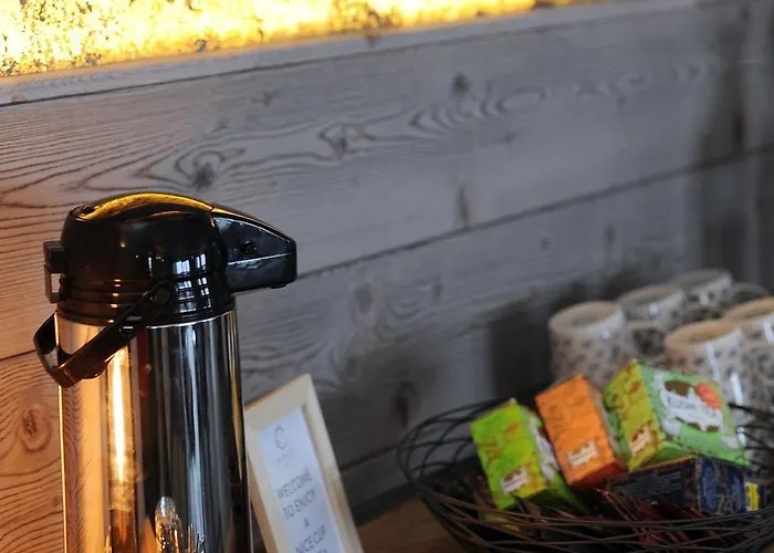 拉克雷斯塔木屋酒店 4* 布勒伊-切尔维尼亚